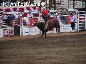 [P11] Calgary Stampede rodeo - cea mai periculoasă probă (bull riding)  » foto by ebirsan
 - 
<span class="allrVoted glyphicon glyphicon-heart hidden" id="av739654"></span>
<a class="m-l-10 hidden" id="sv739654" onclick="voting_Foto_DelVot(,739654,13751)" role="button">șterge vot <span class="glyphicon glyphicon-remove"></span></a>
<a id="v9739654" class=" c-red"  onclick="voting_Foto_SetVot(739654)" role="button"><span class="glyphicon glyphicon-heart-empty"></span> <b>LIKE</b> = Votează poza</a> <img class="hidden"  id="f739654W9" src="/imagini/loader.gif" border="0" /><span class="AjErrMes hidden" id="e739654ErM"></span>