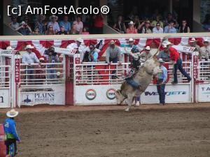 [P12] Calgary Stampede rodeo - cea mai periculoasă probă (bull riding)  » foto by ebirsan
 - 
<span class="allrVoted glyphicon glyphicon-heart hidden" id="av739655"></span>
<a class="m-l-10 hidden" id="sv739655" onclick="voting_Foto_DelVot(,739655,13751)" role="button">șterge vot <span class="glyphicon glyphicon-remove"></span></a>
<a id="v9739655" class=" c-red"  onclick="voting_Foto_SetVot(739655)" role="button"><span class="glyphicon glyphicon-heart-empty"></span> <b>LIKE</b> = Votează poza</a> <img class="hidden"  id="f739655W9" src="/imagini/loader.gif" border="0" /><span class="AjErrMes hidden" id="e739655ErM"></span>
