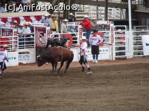 [P13] Calgary Stampede rodeo - cea mai periculoasă probă (bull riding)  » foto by ebirsan
 - 
<span class="allrVoted glyphicon glyphicon-heart hidden" id="av739656"></span>
<a class="m-l-10 hidden" id="sv739656" onclick="voting_Foto_DelVot(,739656,13751)" role="button">șterge vot <span class="glyphicon glyphicon-remove"></span></a>
<a id="v9739656" class=" c-red"  onclick="voting_Foto_SetVot(739656)" role="button"><span class="glyphicon glyphicon-heart-empty"></span> <b>LIKE</b> = Votează poza</a> <img class="hidden"  id="f739656W9" src="/imagini/loader.gif" border="0" /><span class="AjErrMes hidden" id="e739656ErM"></span>