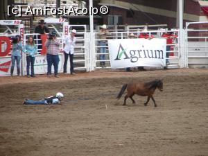 [P15] Calgary Stampede rodeo - cea mai amuzantă probă (echipe de copii care trebuie să prindă și să imobilizeze un ponei)  » foto by ebirsan
 - 
<span class="allrVoted glyphicon glyphicon-heart hidden" id="av739658"></span>
<a class="m-l-10 hidden" id="sv739658" onclick="voting_Foto_DelVot(,739658,13751)" role="button">șterge vot <span class="glyphicon glyphicon-remove"></span></a>
<a id="v9739658" class=" c-red"  onclick="voting_Foto_SetVot(739658)" role="button"><span class="glyphicon glyphicon-heart-empty"></span> <b>LIKE</b> = Votează poza</a> <img class="hidden"  id="f739658W9" src="/imagini/loader.gif" border="0" /><span class="AjErrMes hidden" id="e739658ErM"></span>