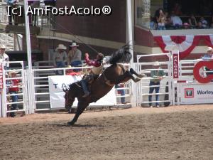 [P02] Calgary Stampede rodeo » foto by ebirsan
 - 
<span class="allrVoted glyphicon glyphicon-heart hidden" id="av739645"></span>
<a class="m-l-10 hidden" id="sv739645" onclick="voting_Foto_DelVot(,739645,13751)" role="button">șterge vot <span class="glyphicon glyphicon-remove"></span></a>
<a id="v9739645" class=" c-red"  onclick="voting_Foto_SetVot(739645)" role="button"><span class="glyphicon glyphicon-heart-empty"></span> <b>LIKE</b> = Votează poza</a> <img class="hidden"  id="f739645W9" src="/imagini/loader.gif" border="0" /><span class="AjErrMes hidden" id="e739645ErM"></span>