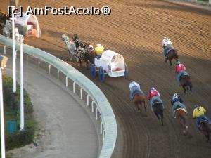[P24] Calgary Stampede rodeo - cea mai spectaculoasă probă - Chuckwagon race » foto by ebirsan
 - 
<span class="allrVoted glyphicon glyphicon-heart hidden" id="av739667"></span>
<a class="m-l-10 hidden" id="sv739667" onclick="voting_Foto_DelVot(,739667,13751)" role="button">șterge vot <span class="glyphicon glyphicon-remove"></span></a>
<a id="v9739667" class=" c-red"  onclick="voting_Foto_SetVot(739667)" role="button"><span class="glyphicon glyphicon-heart-empty"></span> <b>LIKE</b> = Votează poza</a> <img class="hidden"  id="f739667W9" src="/imagini/loader.gif" border="0" /><span class="AjErrMes hidden" id="e739667ErM"></span>