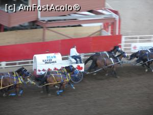 [P25] Calgary Stampede rodeo - cea mai spectaculoasă probă - Chuckwagon race » foto by ebirsan
 - 
<span class="allrVoted glyphicon glyphicon-heart hidden" id="av739668"></span>
<a class="m-l-10 hidden" id="sv739668" onclick="voting_Foto_DelVot(,739668,13751)" role="button">șterge vot <span class="glyphicon glyphicon-remove"></span></a>
<a id="v9739668" class=" c-red"  onclick="voting_Foto_SetVot(739668)" role="button"><span class="glyphicon glyphicon-heart-empty"></span> <b>LIKE</b> = Votează poza</a> <img class="hidden"  id="f739668W9" src="/imagini/loader.gif" border="0" /><span class="AjErrMes hidden" id="e739668ErM"></span>