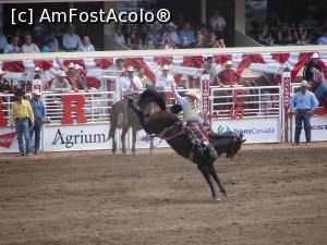[P07] Calgary Stampede rodeo » foto by ebirsan
 - 
<span class="allrVoted glyphicon glyphicon-heart hidden" id="av739650"></span>
<a class="m-l-10 hidden" id="sv739650" onclick="voting_Foto_DelVot(,739650,13751)" role="button">șterge vot <span class="glyphicon glyphicon-remove"></span></a>
<a id="v9739650" class=" c-red"  onclick="voting_Foto_SetVot(739650)" role="button"><span class="glyphicon glyphicon-heart-empty"></span> <b>LIKE</b> = Votează poza</a> <img class="hidden"  id="f739650W9" src="/imagini/loader.gif" border="0" /><span class="AjErrMes hidden" id="e739650ErM"></span>