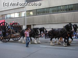 [P13] Stampede Parade - » foto by ebirsan
 - 
<span class="allrVoted glyphicon glyphicon-heart hidden" id="av742690"></span>
<a class="m-l-10 hidden" id="sv742690" onclick="voting_Foto_DelVot(,742690,13751)" role="button">șterge vot <span class="glyphicon glyphicon-remove"></span></a>
<a id="v9742690" class=" c-red"  onclick="voting_Foto_SetVot(742690)" role="button"><span class="glyphicon glyphicon-heart-empty"></span> <b>LIKE</b> = Votează poza</a> <img class="hidden"  id="f742690W9" src="/imagini/loader.gif" border="0" /><span class="AjErrMes hidden" id="e742690ErM"></span>
