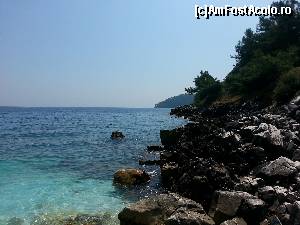 [P11]  -- <small>// FĂRĂ DESCRIERE</small> » foto by oana907
 - 
<span class="allrVoted glyphicon glyphicon-heart hidden" id="av591514"></span>
<a class="m-l-10 hidden" id="sv591514" onclick="voting_Foto_DelVot(,591514,13771)" role="button">șterge vot <span class="glyphicon glyphicon-remove"></span></a>
<a id="v9591514" class=" c-red"  onclick="voting_Foto_SetVot(591514)" role="button"><span class="glyphicon glyphicon-heart-empty"></span> <b>LIKE</b> = Votează poza</a> <img class="hidden"  id="f591514W9" src="/imagini/loader.gif" border="0" /><span class="AjErrMes hidden" id="e591514ErM"></span>