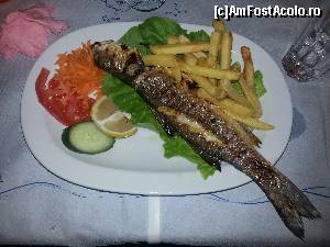 [P03]  -- <small>// FĂRĂ DESCRIERE</small> » foto by oana907
 - 
<span class="allrVoted glyphicon glyphicon-heart hidden" id="av591506"></span>
<a class="m-l-10 hidden" id="sv591506" onclick="voting_Foto_DelVot(,591506,13771)" role="button">șterge vot <span class="glyphicon glyphicon-remove"></span></a>
<a id="v9591506" class=" c-red"  onclick="voting_Foto_SetVot(591506)" role="button"><span class="glyphicon glyphicon-heart-empty"></span> <b>LIKE</b> = Votează poza</a> <img class="hidden"  id="f591506W9" src="/imagini/loader.gif" border="0" /><span class="AjErrMes hidden" id="e591506ErM"></span>