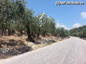 [P07]  -- <small>// FĂRĂ DESCRIERE</small> » foto by oana907
 - 
<span class="allrVoted glyphicon glyphicon-heart hidden" id="av591510"></span>
<a class="m-l-10 hidden" id="sv591510" onclick="voting_Foto_DelVot(,591510,13771)" role="button">șterge vot <span class="glyphicon glyphicon-remove"></span></a>
<a id="v9591510" class=" c-red"  onclick="voting_Foto_SetVot(591510)" role="button"><span class="glyphicon glyphicon-heart-empty"></span> <b>LIKE</b> = Votează poza</a> <img class="hidden"  id="f591510W9" src="/imagini/loader.gif" border="0" /><span class="AjErrMes hidden" id="e591510ErM"></span>