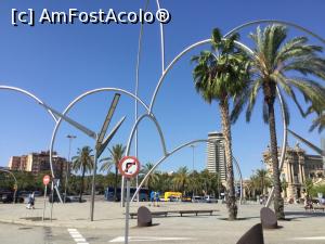 [P04] Barcelona - O superba zi de vara desi calendaristic e toamna » foto by mishu
 - 
<span class="allrVoted glyphicon glyphicon-heart hidden" id="av1155304"></span>
<a class="m-l-10 hidden" id="sv1155304" onclick="voting_Foto_DelVot(,1155304,13774)" role="button">șterge vot <span class="glyphicon glyphicon-remove"></span></a>
<a id="v91155304" class=" c-red"  onclick="voting_Foto_SetVot(1155304)" role="button"><span class="glyphicon glyphicon-heart-empty"></span> <b>LIKE</b> = Votează poza</a> <img class="hidden"  id="f1155304W9" src="/imagini/loader.gif" border="0" /><span class="AjErrMes hidden" id="e1155304ErM"></span>