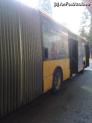 [P14] shuttle bus- hotelului cu destinatia spre parcurile Disney
circula din 10 in 10 minute gratuit pentru oaspetii hotelului » foto by amero
 - 
<span class="allrVoted glyphicon glyphicon-heart hidden" id="av407219"></span>
<a class="m-l-10 hidden" id="sv407219" onclick="voting_Foto_DelVot(,407219,13777)" role="button">șterge vot <span class="glyphicon glyphicon-remove"></span></a>
<a id="v9407219" class=" c-red"  onclick="voting_Foto_SetVot(407219)" role="button"><span class="glyphicon glyphicon-heart-empty"></span> <b>LIKE</b> = Votează poza</a> <img class="hidden"  id="f407219W9" src="/imagini/loader.gif" border="0" /><span class="AjErrMes hidden" id="e407219ErM"></span>