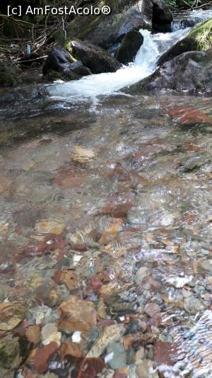 [P06] spre Varciorog » foto by Alexandra74
 - 
<span class="allrVoted glyphicon glyphicon-heart hidden" id="av1083089"></span>
<a class="m-l-10 hidden" id="sv1083089" onclick="voting_Foto_DelVot(,1083089,13782)" role="button">șterge vot <span class="glyphicon glyphicon-remove"></span></a>
<a id="v91083089" class=" c-red"  onclick="voting_Foto_SetVot(1083089)" role="button"><span class="glyphicon glyphicon-heart-empty"></span> <b>LIKE</b> = Votează poza</a> <img class="hidden"  id="f1083089W9" src="/imagini/loader.gif" border="0" /><span class="AjErrMes hidden" id="e1083089ErM"></span>