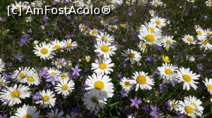 [P08] spre cascada Patrahaitesti, iesirea din spate din muzeul particular Patrahaitesti, 20 iunie. verificati vremea, deoarece iunie are si destule zile ploioase » foto by Alexandra74
 - 
<span class="allrVoted glyphicon glyphicon-heart hidden" id="av1083091"></span>
<a class="m-l-10 hidden" id="sv1083091" onclick="voting_Foto_DelVot(,1083091,13782)" role="button">șterge vot <span class="glyphicon glyphicon-remove"></span></a>
<a id="v91083091" class=" c-red"  onclick="voting_Foto_SetVot(1083091)" role="button"><span class="glyphicon glyphicon-heart-empty"></span> <b>LIKE</b> = Votează poza</a> <img class="hidden"  id="f1083091W9" src="/imagini/loader.gif" border="0" /><span class="AjErrMes hidden" id="e1083091ErM"></span>