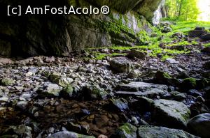 [P25] Pestera Coiba Mare » foto by Remicade
 - 
<span class="allrVoted glyphicon glyphicon-heart hidden" id="av769694"></span>
<a class="m-l-10 hidden" id="sv769694" onclick="voting_Foto_DelVot(,769694,13782)" role="button">șterge vot <span class="glyphicon glyphicon-remove"></span></a>
<a id="v9769694" class=" c-red"  onclick="voting_Foto_SetVot(769694)" role="button"><span class="glyphicon glyphicon-heart-empty"></span> <b>LIKE</b> = Votează poza</a> <img class="hidden"  id="f769694W9" src="/imagini/loader.gif" border="0" /><span class="AjErrMes hidden" id="e769694ErM"></span>