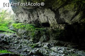[P26] Pestera Coiba Mare » foto by Remicade
 - 
<span class="allrVoted glyphicon glyphicon-heart hidden" id="av769695"></span>
<a class="m-l-10 hidden" id="sv769695" onclick="voting_Foto_DelVot(,769695,13782)" role="button">șterge vot <span class="glyphicon glyphicon-remove"></span></a>
<a id="v9769695" class=" c-red"  onclick="voting_Foto_SetVot(769695)" role="button"><span class="glyphicon glyphicon-heart-empty"></span> <b>LIKE</b> = Votează poza</a> <img class="hidden"  id="f769695W9" src="/imagini/loader.gif" border="0" /><span class="AjErrMes hidden" id="e769695ErM"></span>