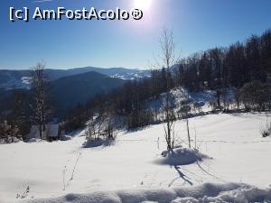 [P09]  -- <small>// FĂRĂ DESCRIERE</small> » foto by Kyandra
 - 
<span class="allrVoted glyphicon glyphicon-heart hidden" id="av830596"></span>
<a class="m-l-10 hidden" id="sv830596" onclick="voting_Foto_DelVot(,830596,13782)" role="button">șterge vot <span class="glyphicon glyphicon-remove"></span></a>
<a id="v9830596" class=" c-red"  onclick="voting_Foto_SetVot(830596)" role="button"><span class="glyphicon glyphicon-heart-empty"></span> <b>LIKE</b> = Votează poza</a> <img class="hidden"  id="f830596W9" src="/imagini/loader.gif" border="0" /><span class="AjErrMes hidden" id="e830596ErM"></span>