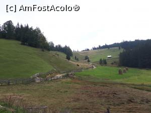 [P08] drumul spre Cheile Ordâncușii, comuna Gârda de Sus, județul Alba, de la Pestera Scarisoara<p> peiaj pitoresc » foto by Dana2008
 - 
<span class="allrVoted glyphicon glyphicon-heart hidden" id="av1041189"></span>
<a class="m-l-10 hidden" id="sv1041189" onclick="voting_Foto_DelVot(,1041189,13782)" role="button">șterge vot <span class="glyphicon glyphicon-remove"></span></a>
<a id="v91041189" class=" c-red"  onclick="voting_Foto_SetVot(1041189)" role="button"><span class="glyphicon glyphicon-heart-empty"></span> <b>LIKE</b> = Votează poza</a> <img class="hidden"  id="f1041189W9" src="/imagini/loader.gif" border="0" /><span class="AjErrMes hidden" id="e1041189ErM"></span>