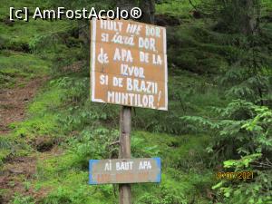 [P32] Și nouă ne e dor! » foto by puiutea
 - 
<span class="allrVoted glyphicon glyphicon-heart hidden" id="av1243778"></span>
<a class="m-l-10 hidden" id="sv1243778" onclick="voting_Foto_DelVot(,1243778,13782)" role="button">șterge vot <span class="glyphicon glyphicon-remove"></span></a>
<a id="v91243778" class=" c-red"  onclick="voting_Foto_SetVot(1243778)" role="button"><span class="glyphicon glyphicon-heart-empty"></span> <b>LIKE</b> = Votează poza</a> <img class="hidden"  id="f1243778W9" src="/imagini/loader.gif" border="0" /><span class="AjErrMes hidden" id="e1243778ErM"></span>