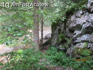 [P08] Deja nu-i a bună ... » foto by puiutea
 - 
<span class="allrVoted glyphicon glyphicon-heart hidden" id="av1243754"></span>
<a class="m-l-10 hidden" id="sv1243754" onclick="voting_Foto_DelVot(,1243754,13782)" role="button">șterge vot <span class="glyphicon glyphicon-remove"></span></a>
<a id="v91243754" class=" c-red"  onclick="voting_Foto_SetVot(1243754)" role="button"><span class="glyphicon glyphicon-heart-empty"></span> <b>LIKE</b> = Votează poza</a> <img class="hidden"  id="f1243754W9" src="/imagini/loader.gif" border="0" /><span class="AjErrMes hidden" id="e1243754ErM"></span>