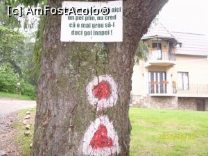 [P16] Are dreptate, nu?  » foto by puiutea
 - 
<span class="allrVoted glyphicon glyphicon-heart hidden" id="av751922"></span>
<a class="m-l-10 hidden" id="sv751922" onclick="voting_Foto_DelVot(,751922,13782)" role="button">șterge vot <span class="glyphicon glyphicon-remove"></span></a>
<a id="v9751922" class=" c-red"  onclick="voting_Foto_SetVot(751922)" role="button"><span class="glyphicon glyphicon-heart-empty"></span> <b>LIKE</b> = Votează poza</a> <img class="hidden"  id="f751922W9" src="/imagini/loader.gif" border="0" /><span class="AjErrMes hidden" id="e751922ErM"></span>