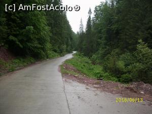 [P04] Drumuri...  » foto by puiutea
 - 
<span class="allrVoted glyphicon glyphicon-heart hidden" id="av751910"></span>
<a class="m-l-10 hidden" id="sv751910" onclick="voting_Foto_DelVot(,751910,13782)" role="button">șterge vot <span class="glyphicon glyphicon-remove"></span></a>
<a id="v9751910" class=" c-red"  onclick="voting_Foto_SetVot(751910)" role="button"><span class="glyphicon glyphicon-heart-empty"></span> <b>LIKE</b> = Votează poza</a> <img class="hidden"  id="f751910W9" src="/imagini/loader.gif" border="0" /><span class="AjErrMes hidden" id="e751910ErM"></span>