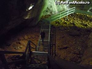 [P20] Peștera Poarta lui Ionele. Pe scările din galerii, cățelul ne aștepta la intrare :-)  » foto by FlorinAndrei
 - 
<span class="allrVoted glyphicon glyphicon-heart hidden" id="av620386"></span>
<a class="m-l-10 hidden" id="sv620386" onclick="voting_Foto_DelVot(,620386,13782)" role="button">șterge vot <span class="glyphicon glyphicon-remove"></span></a>
<a id="v9620386" class=" c-red"  onclick="voting_Foto_SetVot(620386)" role="button"><span class="glyphicon glyphicon-heart-empty"></span> <b>LIKE</b> = Votează poza</a> <img class="hidden"  id="f620386W9" src="/imagini/loader.gif" border="0" /><span class="AjErrMes hidden" id="e620386ErM"></span>