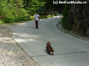 [P27] Peștera Poarta lui Ionele. Pe drumul vechi, în apropierea intrării în peșteră » foto by FlorinAndrei
 - 
<span class="allrVoted glyphicon glyphicon-heart hidden" id="av620399"></span>
<a class="m-l-10 hidden" id="sv620399" onclick="voting_Foto_DelVot(,620399,13782)" role="button">șterge vot <span class="glyphicon glyphicon-remove"></span></a>
<a id="v9620399" class=" c-red"  onclick="voting_Foto_SetVot(620399)" role="button"><span class="glyphicon glyphicon-heart-empty"></span> <b>LIKE</b> = Votează poza</a> <img class="hidden"  id="f620399W9" src="/imagini/loader.gif" border="0" /><span class="AjErrMes hidden" id="e620399ErM"></span>