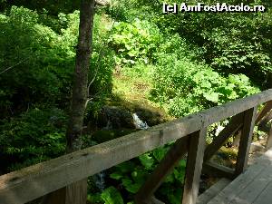 [P28] Peștera Poarta lui Ionele. Podețele de acces spre peșteră » foto by FlorinAndrei
 - 
<span class="allrVoted glyphicon glyphicon-heart hidden" id="av620402"></span>
<a class="m-l-10 hidden" id="sv620402" onclick="voting_Foto_DelVot(,620402,13782)" role="button">șterge vot <span class="glyphicon glyphicon-remove"></span></a>
<a id="v9620402" class=" c-red"  onclick="voting_Foto_SetVot(620402)" role="button"><span class="glyphicon glyphicon-heart-empty"></span> <b>LIKE</b> = Votează poza</a> <img class="hidden"  id="f620402W9" src="/imagini/loader.gif" border="0" /><span class="AjErrMes hidden" id="e620402ErM"></span>