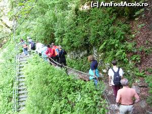 [P08] Peștera Scărișoara. Începem coborârea spre intrare » foto by FlorinAndrei
 - 
<span class="allrVoted glyphicon glyphicon-heart hidden" id="av620360"></span>
<a class="m-l-10 hidden" id="sv620360" onclick="voting_Foto_DelVot(,620360,13782)" role="button">șterge vot <span class="glyphicon glyphicon-remove"></span></a>
<a id="v9620360" class=" c-red"  onclick="voting_Foto_SetVot(620360)" role="button"><span class="glyphicon glyphicon-heart-empty"></span> <b>LIKE</b> = Votează poza</a> <img class="hidden"  id="f620360W9" src="/imagini/loader.gif" border="0" /><span class="AjErrMes hidden" id="e620360ErM"></span>