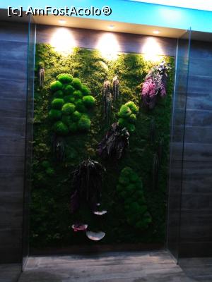 [P15] Decor natural zona saune » foto by danutza_ang
 - 
<span class="allrVoted glyphicon glyphicon-heart hidden" id="av1127310"></span>
<a class="m-l-10 hidden" id="sv1127310" onclick="voting_Foto_DelVot(,1127310,13800)" role="button">șterge vot <span class="glyphicon glyphicon-remove"></span></a>
<a id="v91127310" class=" c-red"  onclick="voting_Foto_SetVot(1127310)" role="button"><span class="glyphicon glyphicon-heart-empty"></span> <b>LIKE</b> = Votează poza</a> <img class="hidden"  id="f1127310W9" src="/imagini/loader.gif" border="0" /><span class="AjErrMes hidden" id="e1127310ErM"></span>