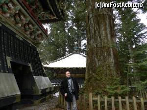 [P83] Unul dintre acesti cedri a fost plantat chiar de Iehasu. Natura si lumea spiritelor se intrepatrund in Japonia. Divinitatile sunt cu noi, in natura si prin natura.  » foto by TraianS
 - 
<span class="allrVoted glyphicon glyphicon-heart hidden" id="av408444"></span>
<a class="m-l-10 hidden" id="sv408444" onclick="voting_Foto_DelVot(,408444,13808)" role="button">șterge vot <span class="glyphicon glyphicon-remove"></span></a>
<a id="v9408444" class=" c-red"  onclick="voting_Foto_SetVot(408444)" role="button"><span class="glyphicon glyphicon-heart-empty"></span> <b>LIKE</b> = Votează poza</a> <img class="hidden"  id="f408444W9" src="/imagini/loader.gif" border="0" /><span class="AjErrMes hidden" id="e408444ErM"></span>