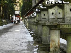 [P89] lampadare de piatra in drum spre Futurasan.  » foto by TraianS
 - 
<span class="allrVoted glyphicon glyphicon-heart hidden" id="av408450"></span>
<a class="m-l-10 hidden" id="sv408450" onclick="voting_Foto_DelVot(,408450,13808)" role="button">șterge vot <span class="glyphicon glyphicon-remove"></span></a>
<a id="v9408450" class=" c-red"  onclick="voting_Foto_SetVot(408450)" role="button"><span class="glyphicon glyphicon-heart-empty"></span> <b>LIKE</b> = Votează poza</a> <img class="hidden"  id="f408450W9" src="/imagini/loader.gif" border="0" /><span class="AjErrMes hidden" id="e408450ErM"></span>