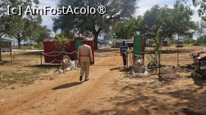 [P06] am ajuns la regat » foto by robert
 - 
<span class="allrVoted glyphicon glyphicon-heart hidden" id="av1512050"></span>
<a class="m-l-10 hidden" id="sv1512050" onclick="voting_Foto_DelVot(,1512050,13820)" role="button">șterge vot <span class="glyphicon glyphicon-remove"></span></a>
<a id="v91512050" class=" c-red"  onclick="voting_Foto_SetVot(1512050)" role="button"><span class="glyphicon glyphicon-heart-empty"></span> <b>LIKE</b> = Votează poza</a> <img class="hidden"  id="f1512050W9" src="/imagini/loader.gif" border="0" /><span class="AjErrMes hidden" id="e1512050ErM"></span>