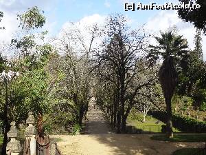 [P02] Intrare în Grădina Botanică » foto by Marian Preda
 - 
<span class="allrVoted glyphicon glyphicon-heart hidden" id="av650150"></span>
<a class="m-l-10 hidden" id="sv650150" onclick="voting_Foto_DelVot(,650150,13823)" role="button">șterge vot <span class="glyphicon glyphicon-remove"></span></a>
<a id="v9650150" class=" c-red"  onclick="voting_Foto_SetVot(650150)" role="button"><span class="glyphicon glyphicon-heart-empty"></span> <b>LIKE</b> = Votează poza</a> <img class="hidden"  id="f650150W9" src="/imagini/loader.gif" border="0" /><span class="AjErrMes hidden" id="e650150ErM"></span>