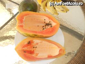 [P40] toate fructele erau gigante... am mancat multe care nu le-am cunoscut si nu le deosebeam de legume... o multitudine de fructe si legume care nu le stiu nici acum... papaya iubita mea...  » foto by miracolo
 - 
<span class="allrVoted glyphicon glyphicon-heart hidden" id="av409732"></span>
<a class="m-l-10 hidden" id="sv409732" onclick="voting_Foto_DelVot(,409732,13824)" role="button">șterge vot <span class="glyphicon glyphicon-remove"></span></a>
<a id="v9409732" class=" c-red"  onclick="voting_Foto_SetVot(409732)" role="button"><span class="glyphicon glyphicon-heart-empty"></span> <b>LIKE</b> = Votează poza</a> <img class="hidden"  id="f409732W9" src="/imagini/loader.gif" border="0" /><span class="AjErrMes hidden" id="e409732ErM"></span>
