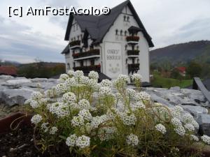 [P02] Pensiunea Conacu Boierului. » foto by tata123 🔱
 - 
<span class="allrVoted glyphicon glyphicon-heart hidden" id="av1201856"></span>
<a class="m-l-10 hidden" id="sv1201856" onclick="voting_Foto_DelVot(,1201856,13826)" role="button">șterge vot <span class="glyphicon glyphicon-remove"></span></a>
<a id="v91201856" class=" c-red"  onclick="voting_Foto_SetVot(1201856)" role="button"><span class="glyphicon glyphicon-heart-empty"></span> <b>LIKE</b> = Votează poza</a> <img class="hidden"  id="f1201856W9" src="/imagini/loader.gif" border="0" /><span class="AjErrMes hidden" id="e1201856ErM"></span>