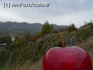 [P05] Toamna la Ponoarele. » foto by tata123 🔱
 - 
<span class="allrVoted glyphicon glyphicon-heart hidden" id="av1201859"></span>
<a class="m-l-10 hidden" id="sv1201859" onclick="voting_Foto_DelVot(,1201859,13826)" role="button">șterge vot <span class="glyphicon glyphicon-remove"></span></a>
<a id="v91201859" class=" c-red"  onclick="voting_Foto_SetVot(1201859)" role="button"><span class="glyphicon glyphicon-heart-empty"></span> <b>LIKE</b> = Votează poza</a> <img class="hidden"  id="f1201859W9" src="/imagini/loader.gif" border="0" /><span class="AjErrMes hidden" id="e1201859ErM"></span>