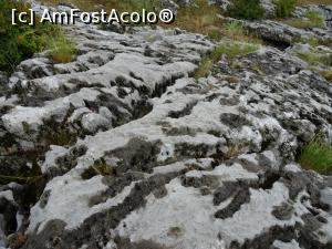 [P06] C&acirc;mp de lapizuri. » foto by tata123 🔱
 - 
<span class="allrVoted glyphicon glyphicon-heart hidden" id="av1201860"></span>
<a class="m-l-10 hidden" id="sv1201860" onclick="voting_Foto_DelVot(,1201860,13826)" role="button">șterge vot <span class="glyphicon glyphicon-remove"></span></a>
<a id="v91201860" class=" c-red"  onclick="voting_Foto_SetVot(1201860)" role="button"><span class="glyphicon glyphicon-heart-empty"></span> <b>LIKE</b> = Votează poza</a> <img class="hidden"  id="f1201860W9" src="/imagini/loader.gif" border="0" /><span class="AjErrMes hidden" id="e1201860ErM"></span>