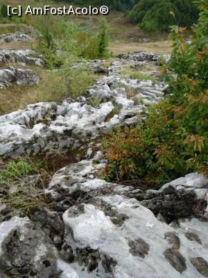 [P08] Lapiezuri la Ponoarele. » foto by tata123 🔱
 - 
<span class="allrVoted glyphicon glyphicon-heart hidden" id="av1201862"></span>
<a class="m-l-10 hidden" id="sv1201862" onclick="voting_Foto_DelVot(,1201862,13826)" role="button">șterge vot <span class="glyphicon glyphicon-remove"></span></a>
<a id="v91201862" class=" c-red"  onclick="voting_Foto_SetVot(1201862)" role="button"><span class="glyphicon glyphicon-heart-empty"></span> <b>LIKE</b> = Votează poza</a> <img class="hidden"  id="f1201862W9" src="/imagini/loader.gif" border="0" /><span class="AjErrMes hidden" id="e1201862ErM"></span>