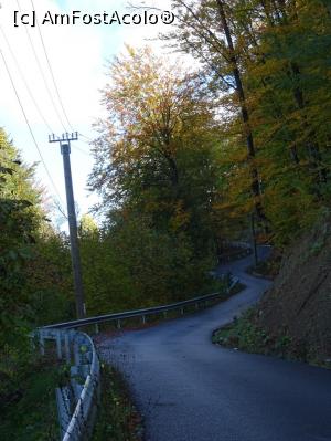 [P01] Drumul spre Băluța. » foto by tata123 🔱
 - 
<span class="allrVoted glyphicon glyphicon-heart hidden" id="av1204314"></span>
<a class="m-l-10 hidden" id="sv1204314" onclick="voting_Foto_DelVot(,1204314,13826)" role="button">șterge vot <span class="glyphicon glyphicon-remove"></span></a>
<a id="v91204314" class=" c-red"  onclick="voting_Foto_SetVot(1204314)" role="button"><span class="glyphicon glyphicon-heart-empty"></span> <b>LIKE</b> = Votează poza</a> <img class="hidden"  id="f1204314W9" src="/imagini/loader.gif" border="0" /><span class="AjErrMes hidden" id="e1204314ErM"></span>
