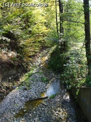 [P11] P&acirc;r&acirc;ul R&acirc;ienilor. » foto by tata123 🔱
 - 
<span class="allrVoted glyphicon glyphicon-heart hidden" id="av1204324"></span>
<a class="m-l-10 hidden" id="sv1204324" onclick="voting_Foto_DelVot(,1204324,13826)" role="button">șterge vot <span class="glyphicon glyphicon-remove"></span></a>
<a id="v91204324" class=" c-red"  onclick="voting_Foto_SetVot(1204324)" role="button"><span class="glyphicon glyphicon-heart-empty"></span> <b>LIKE</b> = Votează poza</a> <img class="hidden"  id="f1204324W9" src="/imagini/loader.gif" border="0" /><span class="AjErrMes hidden" id="e1204324ErM"></span>