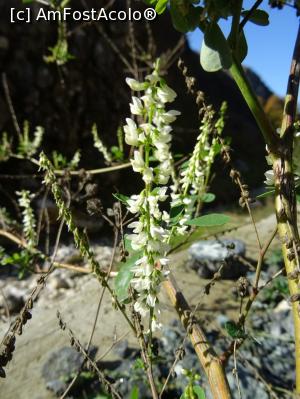 [P15] Natură pe chei. » foto by tata123 🔱
 - 
<span class="allrVoted glyphicon glyphicon-heart hidden" id="av1204328"></span>
<a class="m-l-10 hidden" id="sv1204328" onclick="voting_Foto_DelVot(,1204328,13826)" role="button">șterge vot <span class="glyphicon glyphicon-remove"></span></a>
<a id="v91204328" class=" c-red"  onclick="voting_Foto_SetVot(1204328)" role="button"><span class="glyphicon glyphicon-heart-empty"></span> <b>LIKE</b> = Votează poza</a> <img class="hidden"  id="f1204328W9" src="/imagini/loader.gif" border="0" /><span class="AjErrMes hidden" id="e1204328ErM"></span>