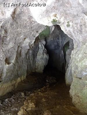 [P17] Peștera Băluței - spre interior. » foto by tata123 🔱
 - 
<span class="allrVoted glyphicon glyphicon-heart hidden" id="av1204330"></span>
<a class="m-l-10 hidden" id="sv1204330" onclick="voting_Foto_DelVot(,1204330,13826)" role="button">șterge vot <span class="glyphicon glyphicon-remove"></span></a>
<a id="v91204330" class=" c-red"  onclick="voting_Foto_SetVot(1204330)" role="button"><span class="glyphicon glyphicon-heart-empty"></span> <b>LIKE</b> = Votează poza</a> <img class="hidden"  id="f1204330W9" src="/imagini/loader.gif" border="0" /><span class="AjErrMes hidden" id="e1204330ErM"></span>