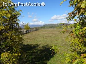 [P20] &Icirc;n zona monumentului. » foto by tata123 🔱
 - 
<span class="allrVoted glyphicon glyphicon-heart hidden" id="av1205352"></span>
<a class="m-l-10 hidden" id="sv1205352" onclick="voting_Foto_DelVot(,1205352,13826)" role="button">șterge vot <span class="glyphicon glyphicon-remove"></span></a>
<a id="v91205352" class=" c-red"  onclick="voting_Foto_SetVot(1205352)" role="button"><span class="glyphicon glyphicon-heart-empty"></span> <b>LIKE</b> = Votează poza</a> <img class="hidden"  id="f1205352W9" src="/imagini/loader.gif" border="0" /><span class="AjErrMes hidden" id="e1205352ErM"></span>