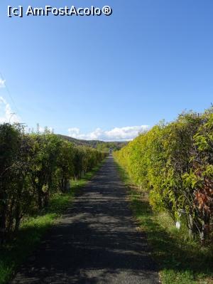 [P03] Aleea - gard viu (200 m). » foto by tata123 🔱
 - 
<span class="allrVoted glyphicon glyphicon-heart hidden" id="av1205335"></span>
<a class="m-l-10 hidden" id="sv1205335" onclick="voting_Foto_DelVot(,1205335,13826)" role="button">șterge vot <span class="glyphicon glyphicon-remove"></span></a>
<a id="v91205335" class=" c-red"  onclick="voting_Foto_SetVot(1205335)" role="button"><span class="glyphicon glyphicon-heart-empty"></span> <b>LIKE</b> = Votează poza</a> <img class="hidden"  id="f1205335W9" src="/imagini/loader.gif" border="0" /><span class="AjErrMes hidden" id="e1205335ErM"></span>