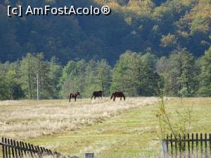 [P07] &Icirc;mprejurimi. » foto by tata123 🔱
 - 
<span class="allrVoted glyphicon glyphicon-heart hidden" id="av1205339"></span>
<a class="m-l-10 hidden" id="sv1205339" onclick="voting_Foto_DelVot(,1205339,13826)" role="button">șterge vot <span class="glyphicon glyphicon-remove"></span></a>
<a id="v91205339" class=" c-red"  onclick="voting_Foto_SetVot(1205339)" role="button"><span class="glyphicon glyphicon-heart-empty"></span> <b>LIKE</b> = Votează poza</a> <img class="hidden"  id="f1205339W9" src="/imagini/loader.gif" border="0" /><span class="AjErrMes hidden" id="e1205339ErM"></span>