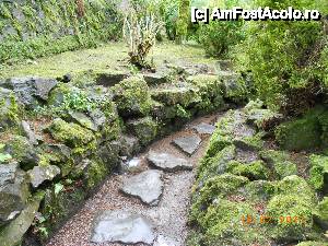[P10] Kildare - (Irish National Stud &) Japanese Gardens, zona tineretii, in care pasesti nesigur dar aparat totusi de problemele vietii.  » foto by Diaura*
 - 
<span class="allrVoted glyphicon glyphicon-heart hidden" id="av410171"></span>
<a class="m-l-10 hidden" id="sv410171" onclick="voting_Foto_DelVot(,410171,13851)" role="button">șterge vot <span class="glyphicon glyphicon-remove"></span></a>
<a id="v9410171" class=" c-red"  onclick="voting_Foto_SetVot(410171)" role="button"><span class="glyphicon glyphicon-heart-empty"></span> <b>LIKE</b> = Votează poza</a> <img class="hidden"  id="f410171W9" src="/imagini/loader.gif" border="0" /><span class="AjErrMes hidden" id="e410171ErM"></span>