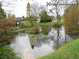 [P18] Kildare - Irish National Stud & Japanese Gardens, un lac mare cu arteziene din loc in loc.  » foto by Diaura*
 - 
<span class="allrVoted glyphicon glyphicon-heart hidden" id="av410179"></span>
<a class="m-l-10 hidden" id="sv410179" onclick="voting_Foto_DelVot(,410179,13851)" role="button">șterge vot <span class="glyphicon glyphicon-remove"></span></a>
<a id="v9410179" class=" c-red"  onclick="voting_Foto_SetVot(410179)" role="button"><span class="glyphicon glyphicon-heart-empty"></span> <b>LIKE</b> = Votează poza</a> <img class="hidden"  id="f410179W9" src="/imagini/loader.gif" border="0" /><span class="AjErrMes hidden" id="e410179ErM"></span>
