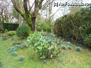 [P07] Kildare - (Irish National Stud &) Japanese Gardens- una din cele mai frumoase gradini japoneze din Europa.  » foto by Diaura*
 - 
<span class="allrVoted glyphicon glyphicon-heart hidden" id="av410168"></span>
<a class="m-l-10 hidden" id="sv410168" onclick="voting_Foto_DelVot(,410168,13851)" role="button">șterge vot <span class="glyphicon glyphicon-remove"></span></a>
<a id="v9410168" class=" c-red"  onclick="voting_Foto_SetVot(410168)" role="button"><span class="glyphicon glyphicon-heart-empty"></span> <b>LIKE</b> = Votează poza</a> <img class="hidden"  id="f410168W9" src="/imagini/loader.gif" border="0" /><span class="AjErrMes hidden" id="e410168ErM"></span>
