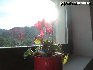 [P19] Multe multe flori.  » foto by andreieu
 - 
<span class="allrVoted glyphicon glyphicon-heart hidden" id="av641682"></span>
<a class="m-l-10 hidden" id="sv641682" onclick="voting_Foto_DelVot(,641682,13852)" role="button">șterge vot <span class="glyphicon glyphicon-remove"></span></a>
<a id="v9641682" class=" c-red"  onclick="voting_Foto_SetVot(641682)" role="button"><span class="glyphicon glyphicon-heart-empty"></span> <b>LIKE</b> = Votează poza</a> <img class="hidden"  id="f641682W9" src="/imagini/loader.gif" border="0" /><span class="AjErrMes hidden" id="e641682ErM"></span>