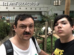[P09] SSST! In Pavilionul Marelui Panda trebuie sa pastram linistea!  » foto by Dan&Ema
 - 
<span class="allrVoted glyphicon glyphicon-heart hidden" id="av1139686"></span>
<a class="m-l-10 hidden" id="sv1139686" onclick="voting_Foto_DelVot(,1139686,13862)" role="button">șterge vot <span class="glyphicon glyphicon-remove"></span></a>
<a id="v91139686" class=" c-red"  onclick="voting_Foto_SetVot(1139686)" role="button"><span class="glyphicon glyphicon-heart-empty"></span> <b>LIKE</b> = Votează poza</a> <img class="hidden"  id="f1139686W9" src="/imagini/loader.gif" border="0" /><span class="AjErrMes hidden" id="e1139686ErM"></span>